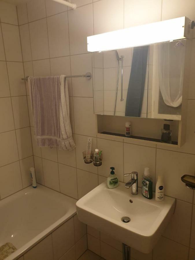 בזל Breite Familien Apartment מראה חיצוני תמונה